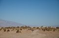 Amerika_2010_08_487-1