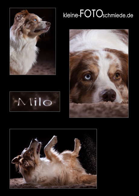 Milo Collage
