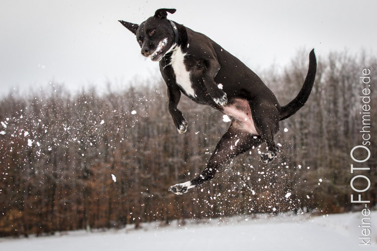 Milka Schnee