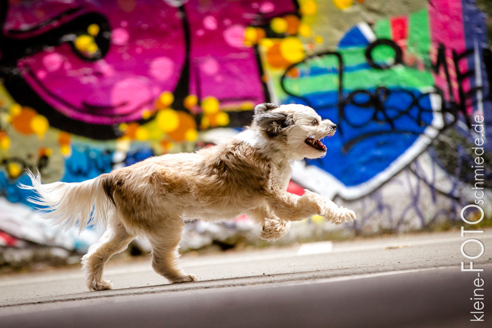 Graffiti-Shooting