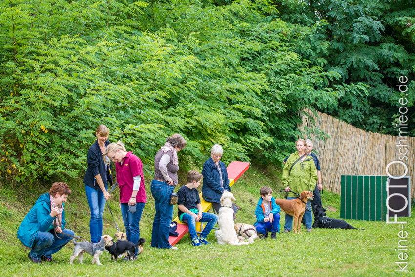DOGS 2013 09-111