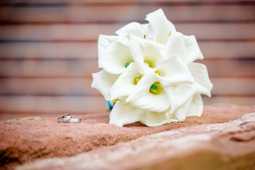 Hochzeitsfotograf in Kaiserslautern