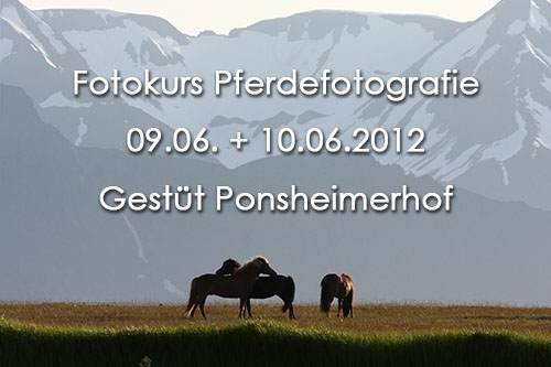 Werbung Fotokurs
