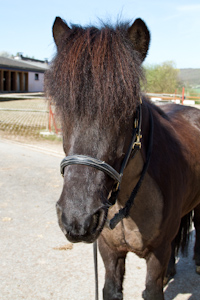 Gaefa_Fotokurs