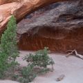USA_2011_1403
