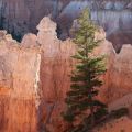 USA_2011_1022