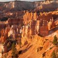 USA_2011_1059