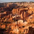 USA_2011_1061
