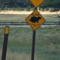 USA_2011_1066