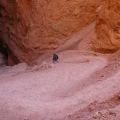 USA_2011_1144
