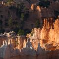 USA_2011_875