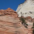 USA_2011_916