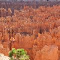 USA_2011_925