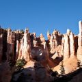 USA_2011_981