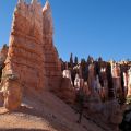 USA_2011_982