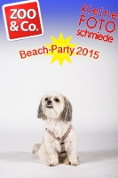 BeachParty_Zoo_Co_2015_07-003