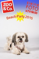 BeachParty_Zoo_Co_2015_07-004