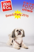 BeachParty_Zoo_Co_2015_07-005