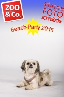 BeachParty_Zoo_Co_2015_07-006