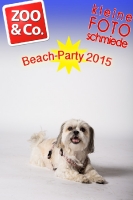 Beach-Party Zoo & Co.