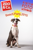 BeachParty_Zoo_Co_2015_07-009