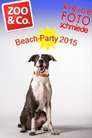 BeachParty_Zoo_Co_2015_07-010