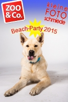 BeachParty_Zoo_Co_2015_07-013