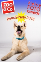 BeachParty_Zoo_Co_2015_07-014