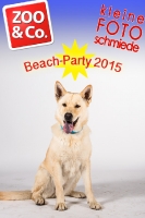 BeachParty_Zoo_Co_2015_07-016