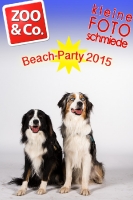 Beach-Party Zoo & Co.