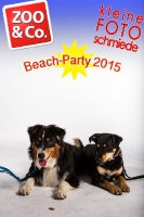 BeachParty_Zoo_Co_2015_07-027