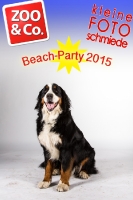 BeachParty_Zoo_Co_2015_07-033