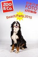 BeachParty_Zoo_Co_2015_07-034