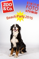 BeachParty_Zoo_Co_2015_07-035