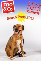 BeachParty_Zoo_Co_2015_07-036