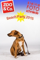 BeachParty_Zoo_Co_2015_07-038