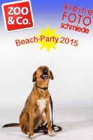 BeachParty_Zoo_Co_2015_07-039