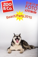 BeachParty_Zoo_Co_2015_07-047
