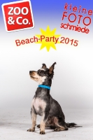 BeachParty_Zoo_Co_2015_07-051
