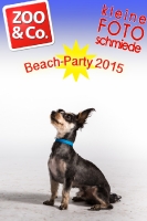 BeachParty_Zoo_Co_2015_07-052