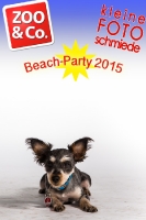 BeachParty_Zoo_Co_2015_07-054