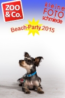 BeachParty_Zoo_Co_2015_07-055