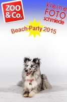 BeachParty_Zoo_Co_2015_07-058