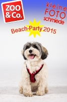 BeachParty_Zoo_Co_2015_07-062