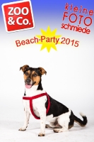 BeachParty_Zoo_Co_2015_07-065