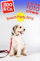 BeachParty_Zoo_Co_2015_07-069