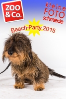 Beach-Party Zoo & Co.