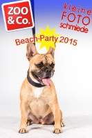 BeachParty_Zoo_Co_2015_07-083