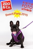 BeachParty_Zoo_Co_2015_07-084