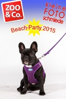 BeachParty_Zoo_Co_2015_07-085